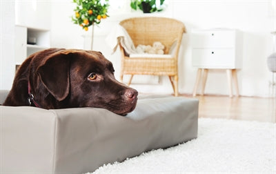 Bia Bed Dog Basket Original Taupe