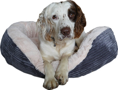 Rosewood Dog Basket Oval Jumbo Cord Plush Grey / Cream