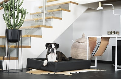 Bia Bed Dog Basket Orthopaedic Black