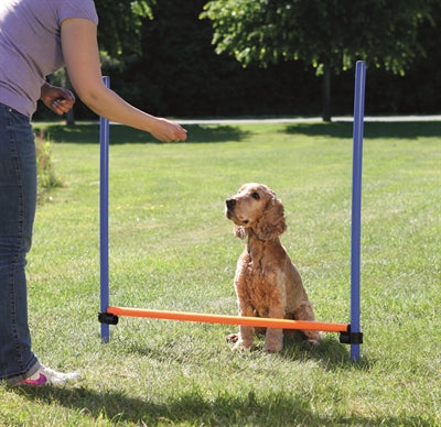 Trixie Dog Activity Agility Hurdle Blue / Orange 123X115X3 Cm