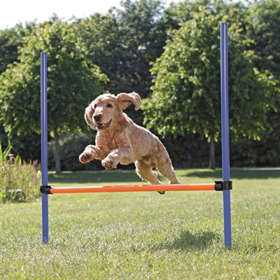 Trixie Dog Activity Agility Hurdle Blue / Orange 123X115X3 Cm