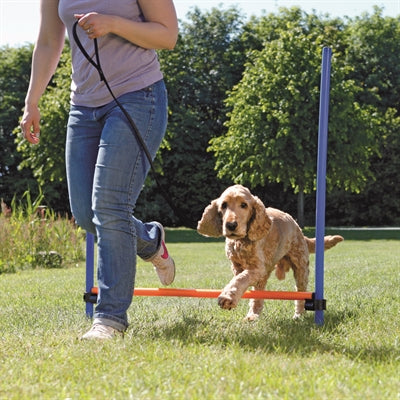 Trixie Dog Activity Agility Hurdle Blue / Orange 123X115X3 Cm