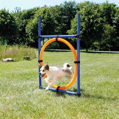 Trixie Dog Activity Agility Ring Blue / Orange 65X3X115 Cm