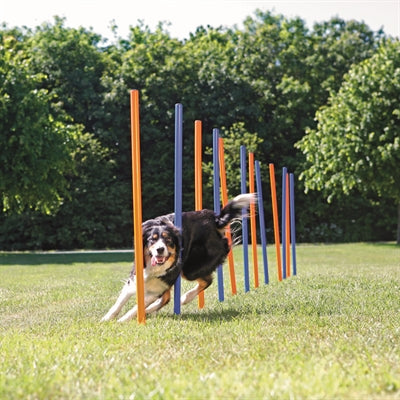 Trixie Dog Activity Agility Slalom Poles Blue / Orange 115X3 Cm 12 Pc