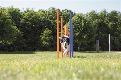 Trixie Dog Activity Agility Slalom Poles Blue / Orange 115X3 Cm 12 Pc