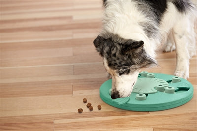 Nina Ottosson Dog Worker Composite