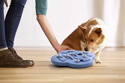 Nina Ottosson Dog Hide N Slide Composite 33X33X5 Cm
