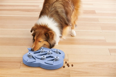 Nina Ottosson Dog Hide N Slide Composite 33X33X5 Cm