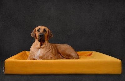 Bia Bed Royal Velvet Cover For Dog Bed Ochre