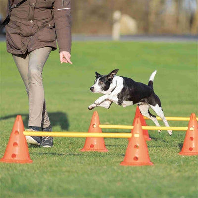 Trixie Dog Activity Hurdle Set