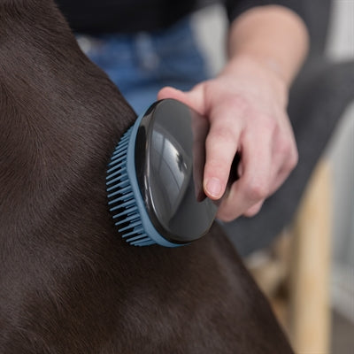 Trixie Soft Brush Blue 19 Cm