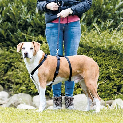 Trixie Dog Harness Stay Black