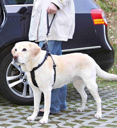 Trixie Car Seat Belt Short Leash Universal Black 27X4.5 Cm