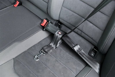 Trixie Car Seat Belt Short Leash Universal Black 27X4.5 Cm