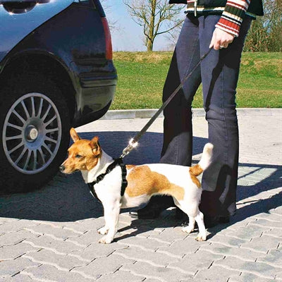Trixie Dog Car Harness Including Seat Belt Black