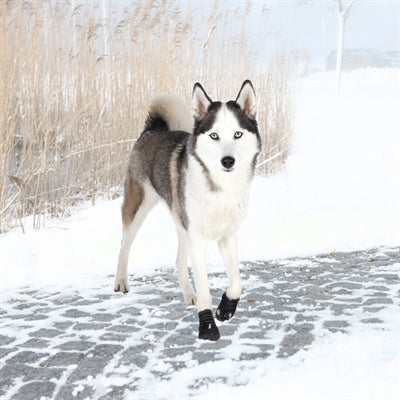 Trixie Paw Protection Walker Active Black