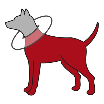 Trixie Protective Collar Foam Rubber Grey