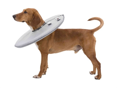 Trixie Protective Collar Foam Rubber Grey
