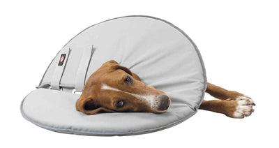 Trixie Protective Collar Foam Rubber Grey