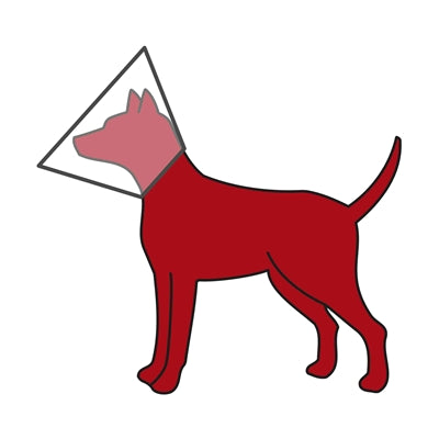 Trixie Protective Collar With Velcro Plastic Transparent