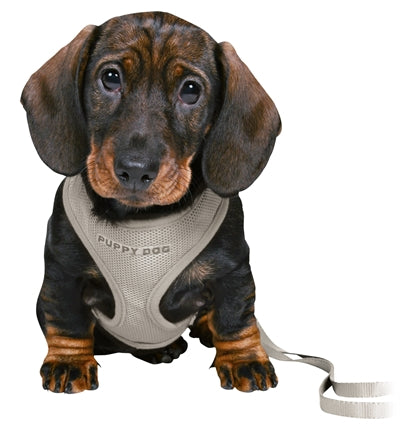Trixie Junior Puppy Harness Soft With Lead Light Grey 26-34X1 Cm  / 2 Mtr