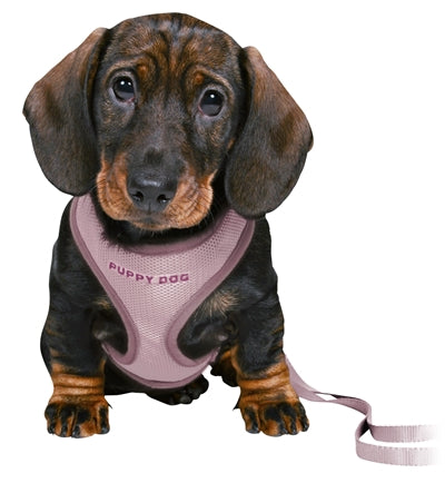 Trixie Junior Puppy Harness Soft With Lead Purple 26-34X1 Cm  / 2 Mtr