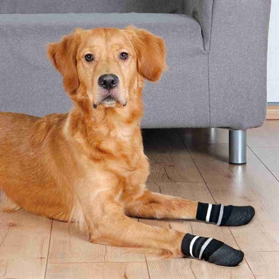 Trixie Dog Socks Anti-Slip With Rubber Coating All Around Black