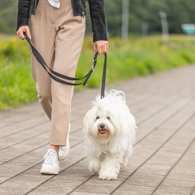 Trixie Dog Lead Premium Adjustable Double-Layer Black