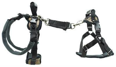 Solvit Petsafe Carelift Front And Rear
