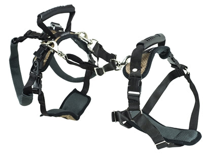 Solvit Petsafe Carelift Front And Rear