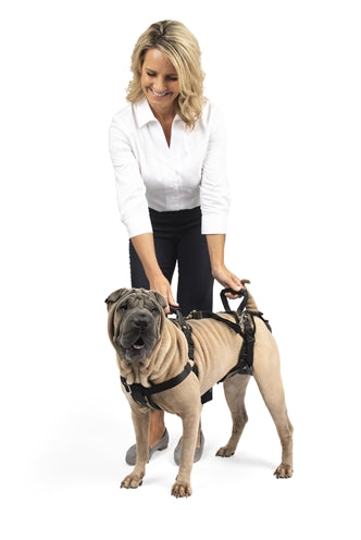 Solvit Petsafe Carelift Front And Rear