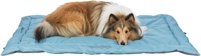 Trixie Travel Blanket Samoa Classic Beige / Olive Green