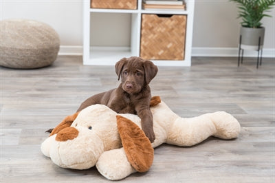 Trixie Cuddly Toy Dog Benny Plush Beige / Brown