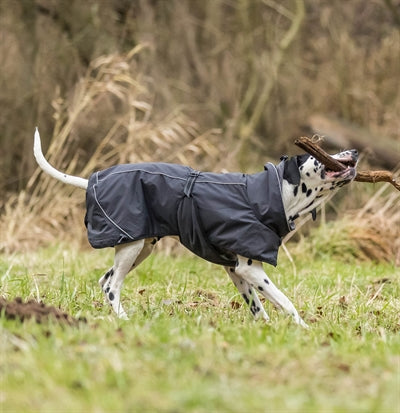 Trixie Dog Coat Calvi Black