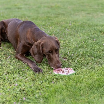 Trixie Lick'n'snack Mat With Suction Cups Silicone Sage 17 Cm