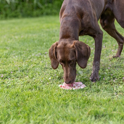 Trixie Lick'n'snack Mat With Suction Cups Silicone Sage 17 Cm