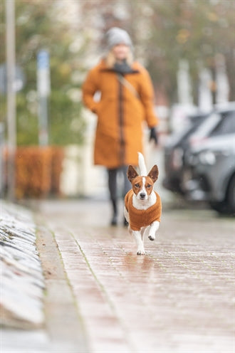 Trixie Citystyle Dog Sweater Berlin Rust