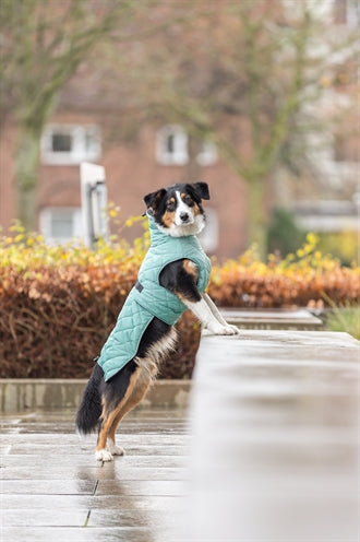 Trixie Citystyle Be Eco Dog Coat Oslo Recycled Jade Green