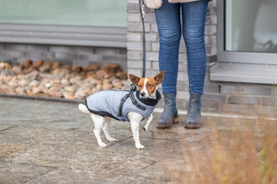 Trixie Dog Coat Pontis With Harness Grey