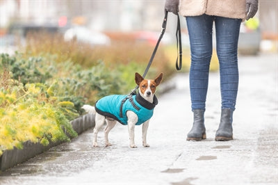 Trixie Dog Coat Pontis With Harness Aqua