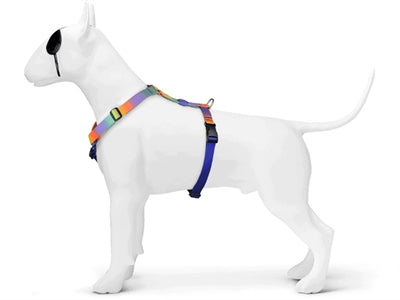 Morso Dog Harness H-Harness Recycled Spring Blossom