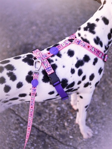 Morso Dog Harness H-Harness Recycled Sweet Tweet Pink