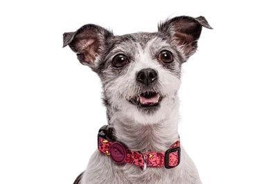 Morso Dog Collar Recycled Pink Think Roze