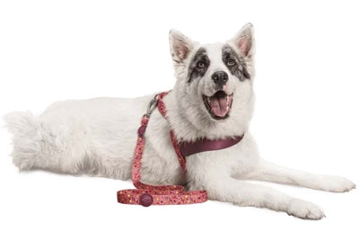 Morso Dog Lead Recycled Pink Think Pink