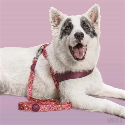 Morso Dog Lead Recycled Pink Think Pink