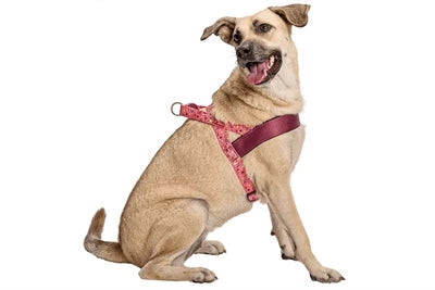 Morso Norwegian Dog Harness Recycled Pink Think Pink