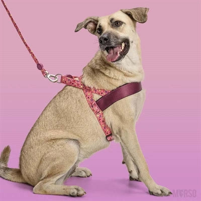 Morso Norwegian Dog Harness Recycled Pink Think Pink