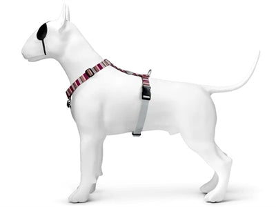 Morso Dog Harness H-Harness Recycled Skyline Red / Pink