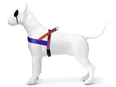 Morso Norwegian Dog Harness Recycled Urban Lizard Red
