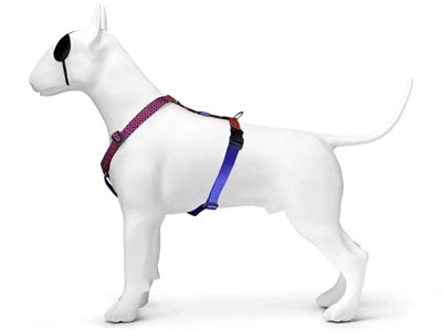 Morso Dog Harness H-Harness Recycled Urban Lizard Red